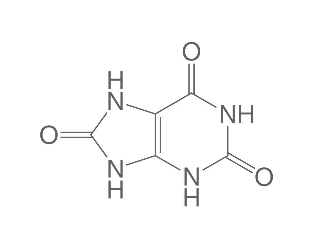 How a Probiotic Metabolizes Nitrogenous Waste Products